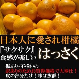 ふるさと納税 八朔(はっさく) 10kg 有田川町 家庭用 和歌山県有田川町