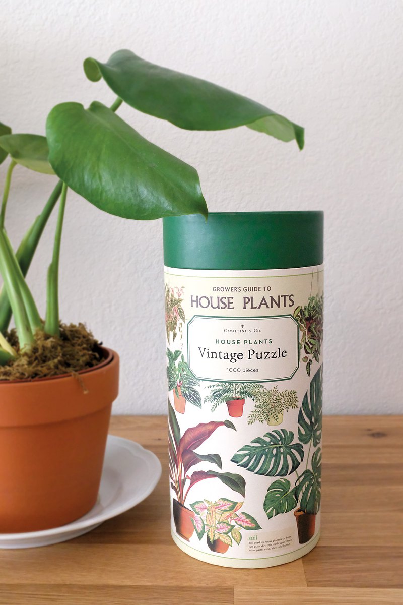 Cavallini 1000片拼圖 室內植物 House Plants 千片拼圖 | 預購