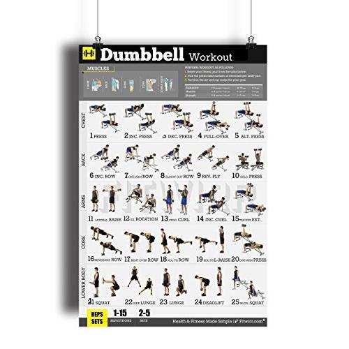 Dumbbell Workout Exercise Poster Laminated Home Gym Fitness Workout