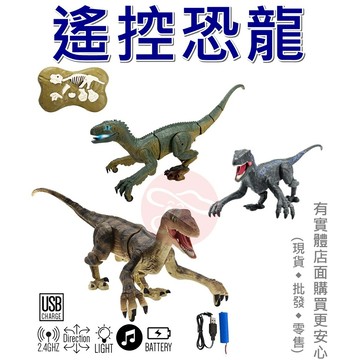 【台灣現貨🔥免運🔥24H出貨】遙控恐龍 恐龍玩具 兒童 生日禮物 兒童玩具 玩具 仿真恐龍 迅猛龍 興雲網購