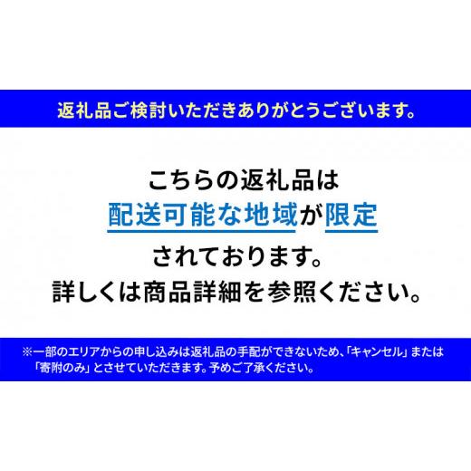 ふるさと納税 静岡県 袋井市 農水大臣賞受賞農園からお届け イチゴ大粒・紅ほっぺ ２パック