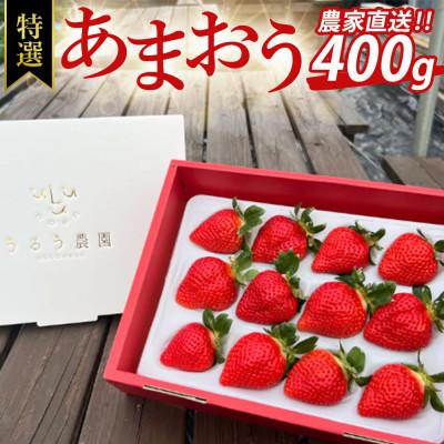 ふるさと納税 粕屋町 特選あまおう　400g(粕屋町)