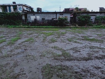 冬山伯朗大道旁農地｜宜蘭縣冬山鄉新奇武荖段