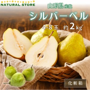 [予約 2023年 12月1日-12月10日の納品] 洋梨 シルバーベル 約2kg 4玉-8玉 山形県産 他 秋ギフト ラフランス 梨 果実専用箱 上級品 冬ギフ