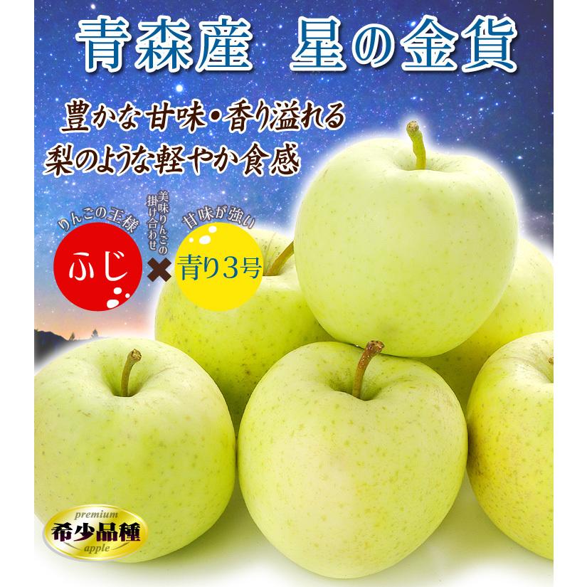 りんご 10kg 青森産 星の金貨 送料無料 食品