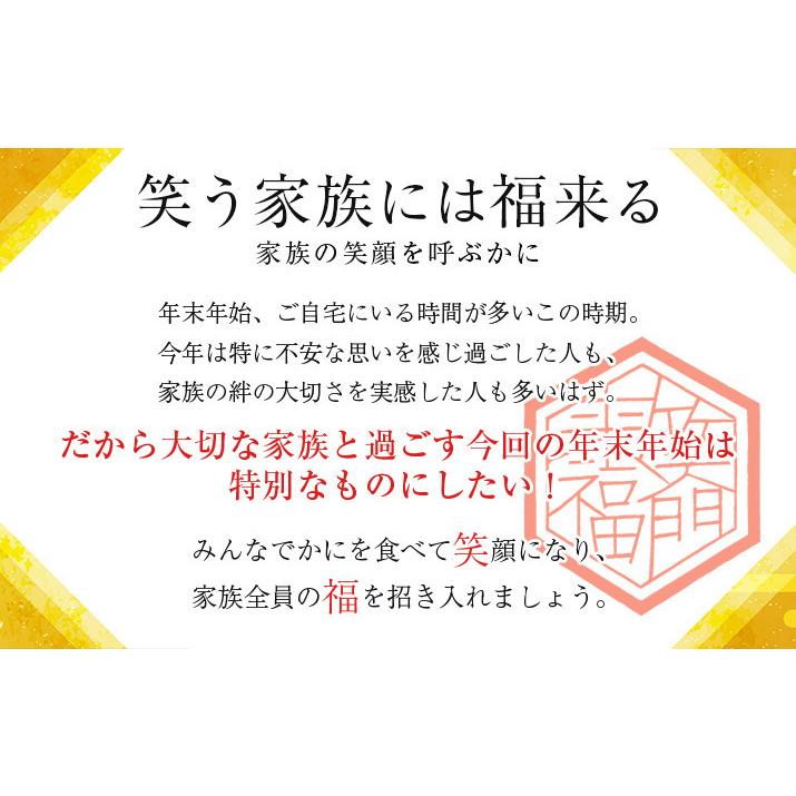 ボイルズワイガニ 足 ３ｋｇ（約12肩〜18肩）大盛かに福袋 訳あり（足折）  北海道 お土産 ギフト 人気 お取り寄せ