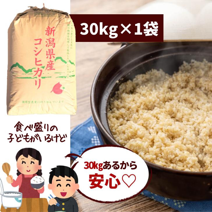 新米 5年産 米 新潟 コシヒカリ 玄米 30kg コシヒカリ 通販 こしひかり 玄米 30kg 減農薬 農家 直送 生産者 コシヒカリ 新潟県産 精米サービス