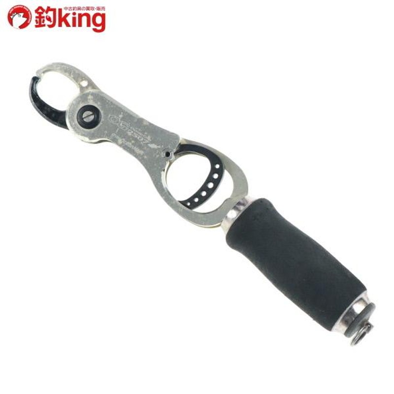 シーバス ルアー オーシャングリップ2507