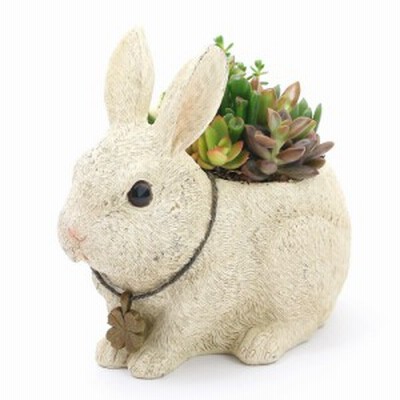（観葉植物）多肉寄せ植え　動物達の贈り物　アンティーク調ラビット（１鉢）　北海道冬季発送不可