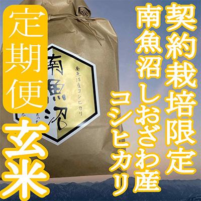 ふるさと納税 南魚沼市 ※玄米8Kg※生産者限定　南魚沼しおざわ産コシヒカリ全3回