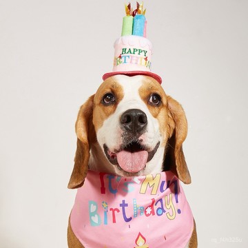 [24時熱賣]寵物生日服飾 跨境廠家 亞馬遜新款狗狗三角巾生日口水巾 派對帽子寵物配飾 KLR2