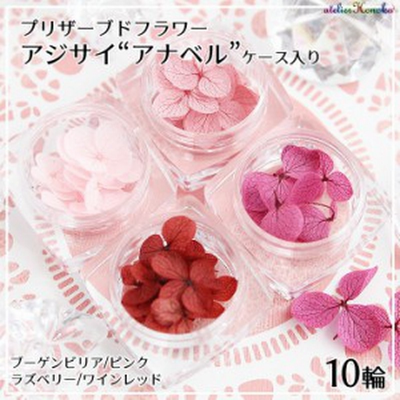 プリザーブドフラワー アジサイ アナベル 10輪 ピンク ブーゲンビリア ワインレッド ラズベリー ドライフラワー レジン封入パーツ 紫陽 通販 Lineポイント最大1 0 Get Lineショッピング