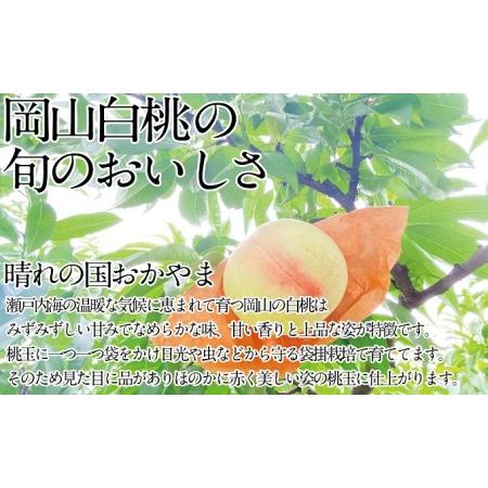 ふるさと納税 桃 2024年 先行予約 岡山の白桃 250g以上×6玉 白桃 旬 みずみずしい 晴れの国 おかやま 岡山県産 フルーツ王国 果物王国 岡山県瀬戸内市