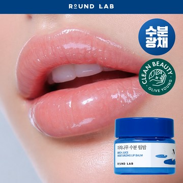 ROUND LAB Birch Juice Moisturizing Lip Balm 20g