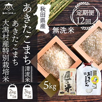 ふるさと納税 秋田市 秋田県産無洗米(あきたこまち3kg・大潟村ふると米2kg)セット全12回