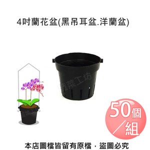 4吋蘭花盆(黑吊耳盆.洋蘭吊盆) 50個/組