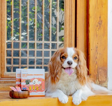 韓國Respet紅蔘益生菌(30入)*2入