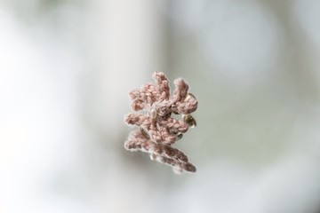 岩生鹿角刺繡鉤織耳環 春日珍珠 粉