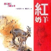 紅奶羊【二手書_普通】TAAZE讀冊生活