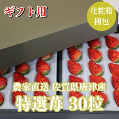 ふるさと納税 唐津市  特選濃厚苺30粒 品種:いちごさんorさちのか