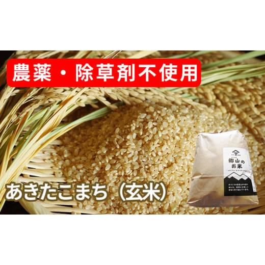 ふるさと納税 秋田県 にかほ市 農薬・除草剤不使用 体に優しいあきたこまち「郷山のお米」2kg（玄米）