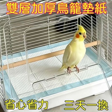 【24時特賣】鳥籠墊紙蘆丁雞鸚鵡八哥玄鳳鵪鶉雛鳥一次性加厚吸水布墊尿墊