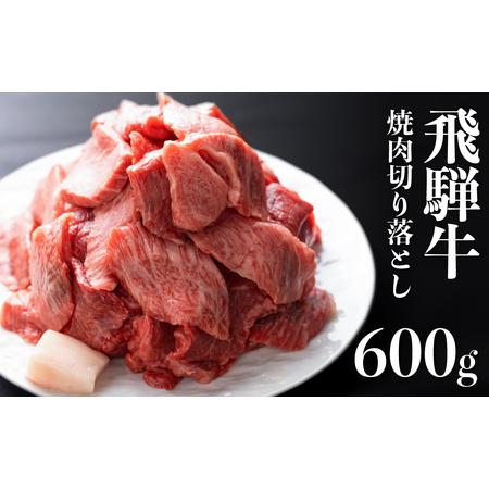 ふるさと納税 飛騨牛 焼肉用切り落とし 600g 岐阜県飛騨市