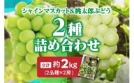 備前市産　シャインマスカット2房と桃太郎ぶどう2房の詰め合わせ