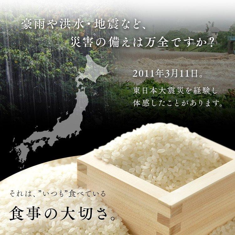 レトルトご飯 パックご飯 ごはん パック レンジ 180g 48食 長期保存パックごはん 180g×12パック 4個セット アイリスフーズ