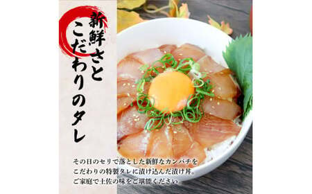 これが魚屋の漬け丼だ！～カンパチ～ 《訳あり》 ８０ｇ×１０P カンパチ かんぱち 漬け丼 漬け どんぶり 丼 10パック 海鮮 魚 真空パック 個食 個包装 冷凍 配送 訳あり 規格外 不揃い