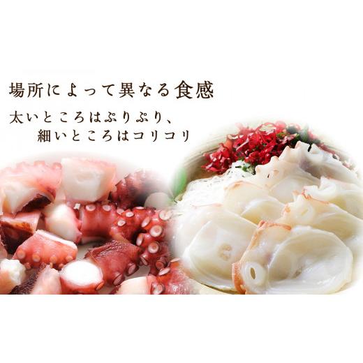 ふるさと納税 北海道 余市町 北海道産 やわらか煮たこ足（約600g）2本セット＜菊地水産＞