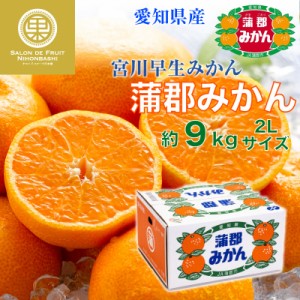 [予約 2023年 12月25日頃から発送] 蒲郡みかん 早生 約9kg 2Lサイズ 愛知県蒲郡産 産地箱 蒲郡早生みかん 早生 蒲郡 宮川早生他 冬ギフト