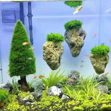 魚缸造景浮石水草缸裝飾浮石阿凡達懸浮石莫斯浮石水族造景石