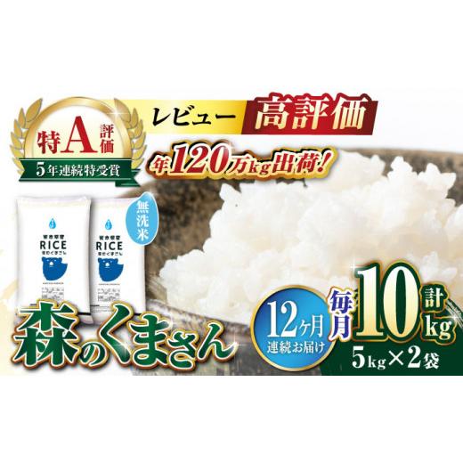 ふるさと納税 熊本県 山鹿市 森のくまさん 無洗米 10kg（5kg×2袋）定期便 10kg 無洗米 精米 森のくまさ…