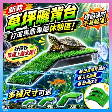 正廠出品🔥不易掉草【烏龜草坪曬背台】烏龜平台 烏龜浮台 烏龜曬台 烏龜 烏龜飼養 烏龜曬臺 烏龜爬臺 曬背臺 烏龜浮島