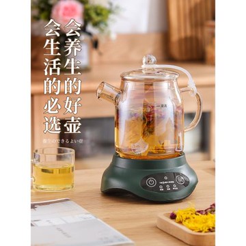 特萊雅全玻璃養生壺家用多功能辦公室mini小型煮茶器迷你花茶壺