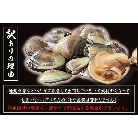 ふるさと納税  期間限定 鹿島灘 ハマグリ 訳あり 2kg 砂抜き済み はまぐり 蛤 わけあり 国産 天然 茨城県産 鹿島灘産 焼.. 茨城県大洗町