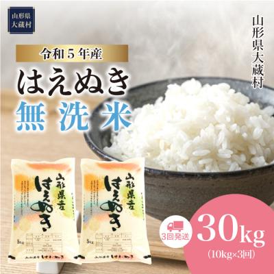 ふるさと納税 大蔵村 令和5年産 はえぬき30kg定期便(10kg×3回)　山形県大蔵村