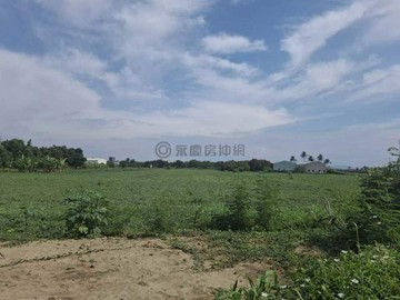 岡山近友情路前後臨路方正都內農地｜高雄市岡山區友情段