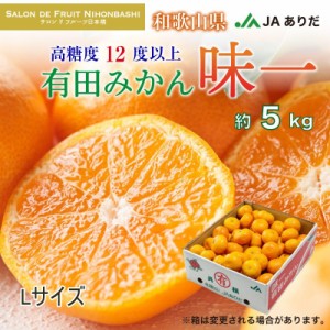 [予約 2023年 12月31日必着] 有田みかん 味一 みかん 5kg L 和歌山県有田産 JAありだ 産地箱 冬ギフト お歳暮 御歳暮 大晦日必着