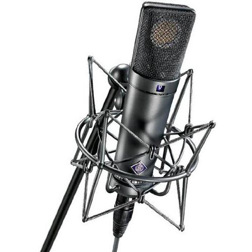 Neumann U 89 i Studio Microphone Black Color 並行輸入品