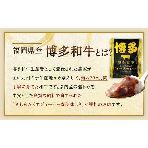 ふるさと納税 福岡県 太宰府市 博多和牛じっくり煮込んだビーフカレー レトルト 4人前