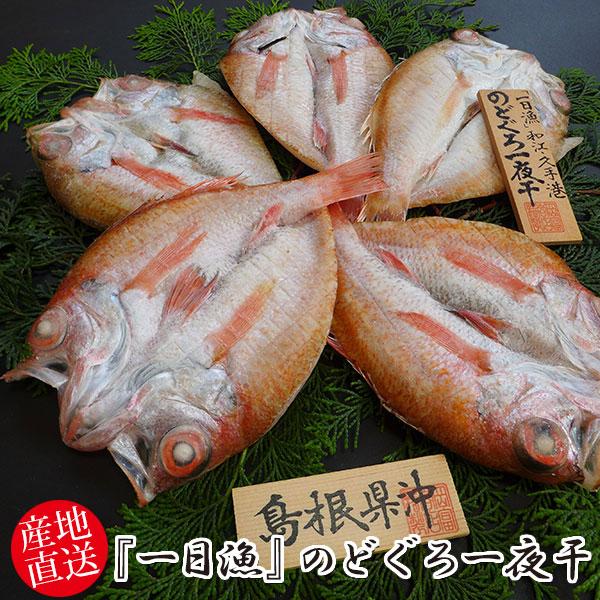 岡富商店 『一日漁』のどぐろ一夜干 410g〈5〜6枚〉冷凍 干物セット ギフト(sot124)