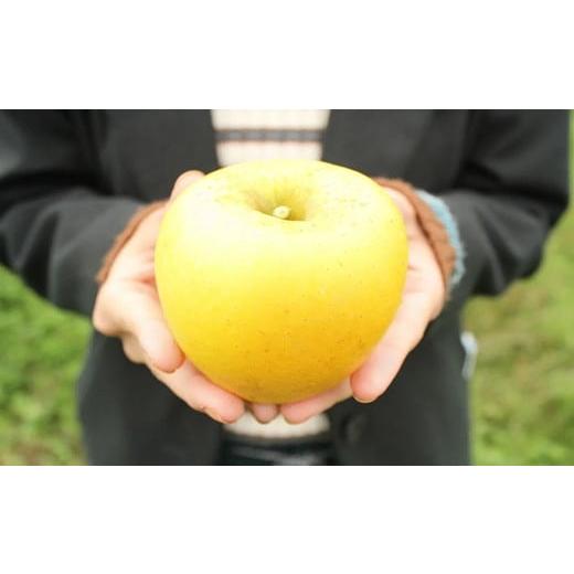 ふるさと納税 岩手県 一関市 峠のりんご屋さん『旬のりんごをお届けします』3kg（10〜12 玉入り）