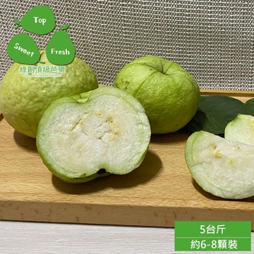 【綠創頂級芭樂】(預購)高雄大樹-水蜜芭樂5台斤x1箱(約6-8顆_100%友善耕種_產地直送)下訂後8個工作天內出貨