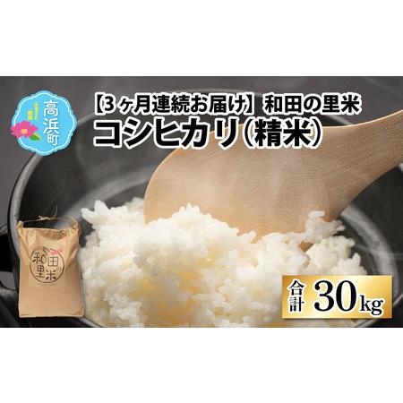 ふるさと納税 和田の里米 コシヒカリ 白米(精米) 10kg×3回 計30kg 福井県高浜町