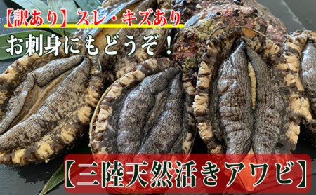 ★訳あり 三陸産活アワビ800g  (7～8個)  刺身 ステーキ