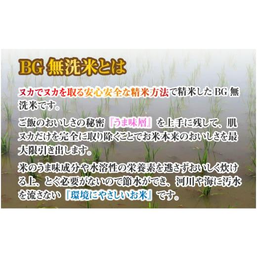 ふるさと納税 滋賀県 多賀町 こしひかり 10kg（5kg × 2袋） BG無洗米[B-00402]