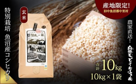 ≪令和5年産≫　農家直送！魚沼産コシヒカリ特別栽培「白羽毛の米」玄米(10kg×1袋) 10kg