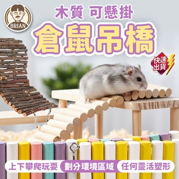 倉鼠吊橋【布萊恩👨🏻隔日到貨】倉鼠造景用品 倉鼠吊繩 倉鼠玩具 倉鼠圍欄  倉鼠用品 倉鼠梯子 小寵用品